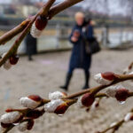 Снігу не видно, а проблеми вже близько: Чому загрожує аномальна зима