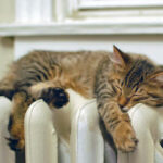 Віртуальні гігакалорії зникнуть: в Україні змінюють правила оплати за опалення 