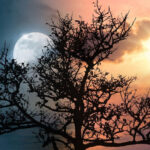 Коли взимку день починає збільшуватися? Назвали ключову астрологічну дату грудня