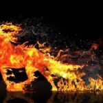 Це зіпсує ваш 2026 рік: що категорично не можна ставити на стіл у рік Вогняного Коня?