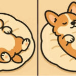 Виклик для очей: Знайдете три відмінності швидше ніж за хвилину?