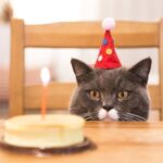 «Мій» чи «Моє» День народження: як запам’ятати правильний варіант назавжди