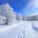 Що клали на підвіконня 29 грудня, щоб захистити оселю від лиха: народні прикмети