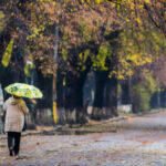 Потепління очікується на Рівненщині: Вночі буде до +7