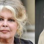 «Прекрасна Бриджіт»: Померла акторка Бриджіт Бардо. Їй був 91 рік (ФОТО/ВІДЕО)