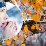 Морози й вітер прийдуть в Україну