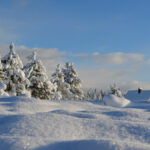 Що віддавали з дому 15 грудня, щоб прийдешній рік був щасливим: народні прикмети