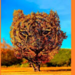 Тигр чи дерево? Першим, що ви побачили на картинці, розкаже про ваш характер