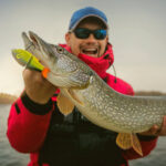 Заборона на вилов щуки: коли почнуть штрафувати рибалок в Україні