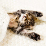 До +10 градусів очікується на Рівненщині  