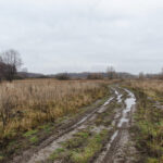  Квітневе тепло повертається: Вдень на Рівненщині знову буде тепло