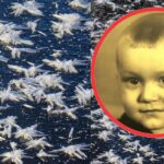 Неймовірні льодяні кристали утворились на поверхні замерзлої Усті в м. Рівне (ФОТО)