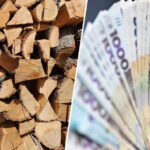 Пенсіонери та ще 8 категорій можуть отримати дрова від держави: куди звертатися