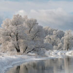 Що викидали з дому 16 січня, щоб «прогнати» з дому бідність: народні прикмети