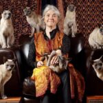 «Запрограмовані» на самотність: жінки з цими іменами проведуть старість з кішками