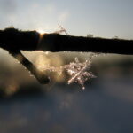 Тріскучі морози йдуть в Україну: Коли чекати холоду