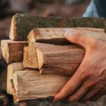 Дають мало тепла і небезпечні для здоров’я: якими дровами не можна опалювати будинок?