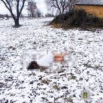 Жорстоке вбивство на Рівненщині: загинула 38-річна жінка (ФОТО)