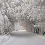 Що заборонено робити 9 січня, аби не вигнати з дому злагоду та щастя: народні прикмети