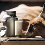 Молоко й масло зникне з магазинів? В Україні криза на молочному ринку 