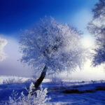 Що робили 19 січня, щоб прогнати із дому зло та хвороби: народні прикмети