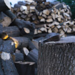 Рубати дерева біля свого будинку: дозволено таке у 2026 році чи можна отримати штраф 