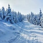 Що потрібно покласти в гаманець 17 січня, щоб увесь рік гроші водилися: народні прикмети