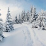 24 січня – День святої Ксенії: звичаї, прикмети та заборони свята