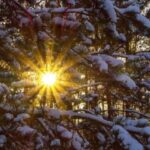 Що не можна підбирати із землі 23 січня, щоб не втратити щастя та удачу: народні прикмети