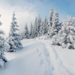 Що робили 2 січня із вікнами, щоб прогнати з дому усі біди: народні прикмети