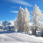 Що не можна робити з грошима 13 січня, щоб рік у боргах не ходити: народні прикмети