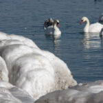 Зима слабшає: Де в Україні 27 січня очікують плюсову температуру