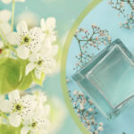 Парфуми з жасмином, які роками залишаються найулюбленішими