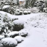 Що зробити в саду взимку: 7 справ, які зекономлять вам десятки годин навесні