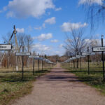 Майже як міста: найбільші села України, що давно переросли свій статус