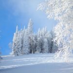 Що не можна виносити з дому 10 січня, аби не «винести» з оселі щастя: народні прикмети