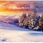 Що викидали 20 січня, щоб у домі завжди були гроші: народні прикмети