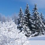 Що пили вранці 14 січня, щоб увесь рік не знати хвороб: народні прикмети