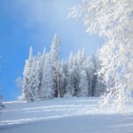 Потепління не видно: Синоптик попередив про посилення сибірського антициклону