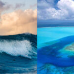 «Привид безодні»: у океані вперше зняли рідкісного гіганта (ФОТО)