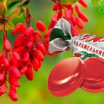 Ви цього не знали про улюблені «барбариски»: чому їх масово скуповували в 1980-х і що з ними робили