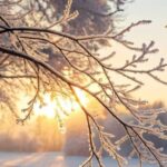 Що треба випити вранці 7 січня, щоб рік не знати хвороб: народні прикмети