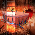 Заваріть цей чай: він чудово чистить судини й виводить токсини 