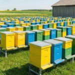 Бізнес на матках: скільки нуклеусів потрібно купити для старту рентабельної пасіки